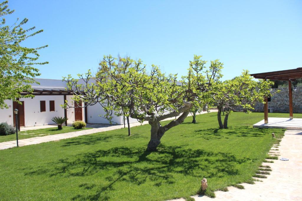 Masseria Valente Ostuni Dış mekan fotoğraf